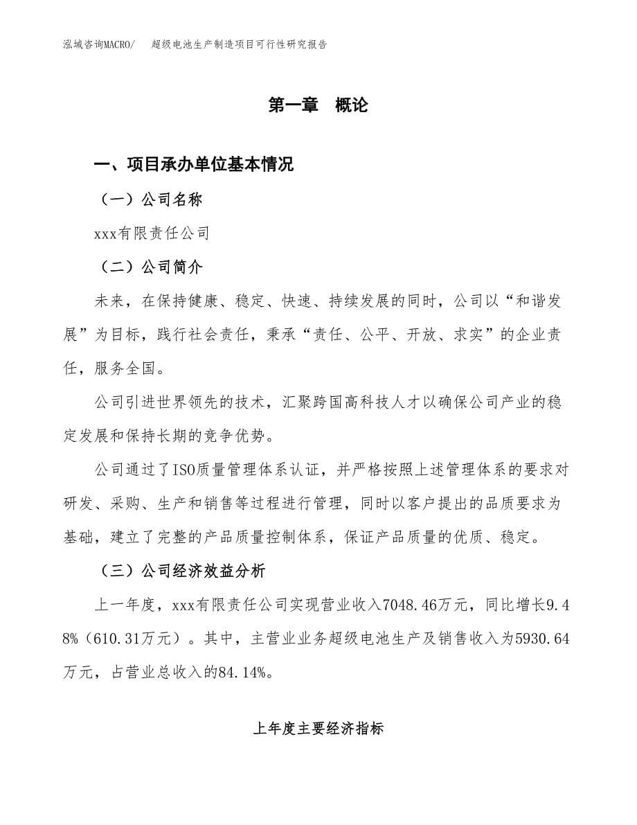 超级电池生产制造项目可行性研究报告_第5页