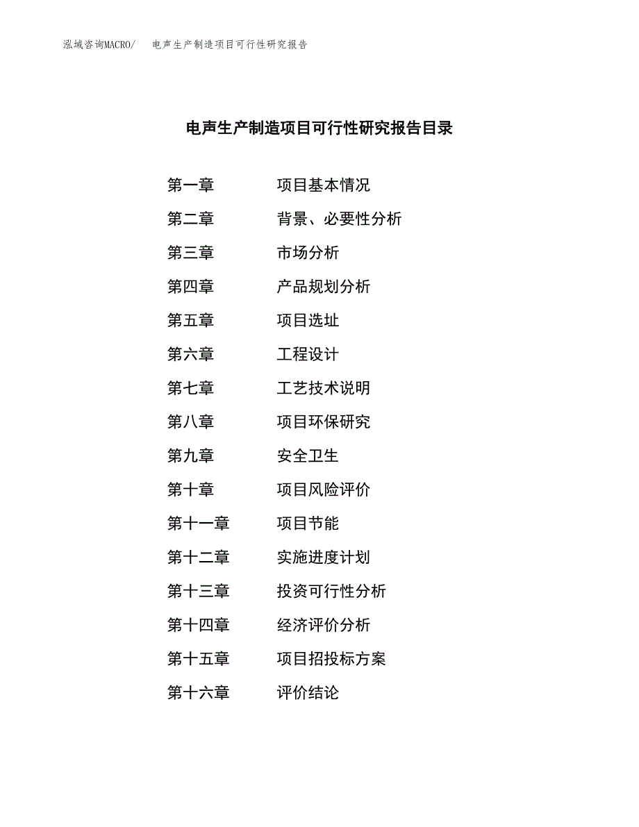 电声生产制造项目可行性研究报告_第3页