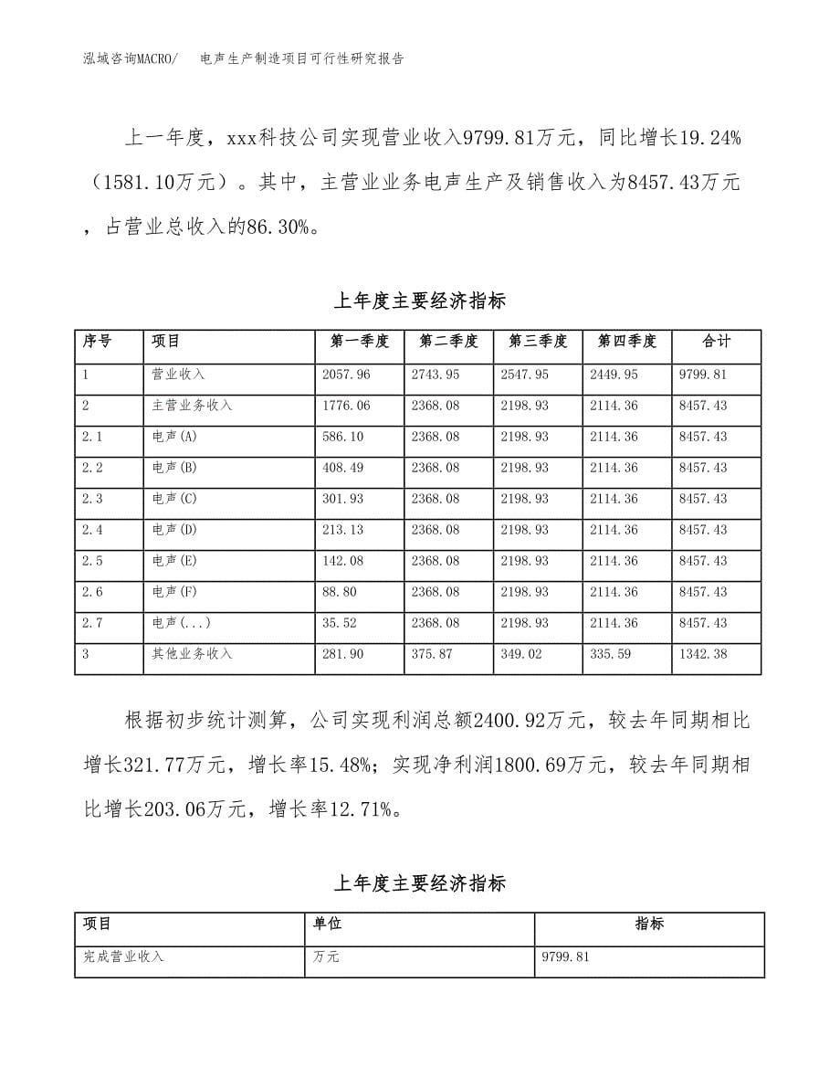 电声生产制造项目可行性研究报告_第5页