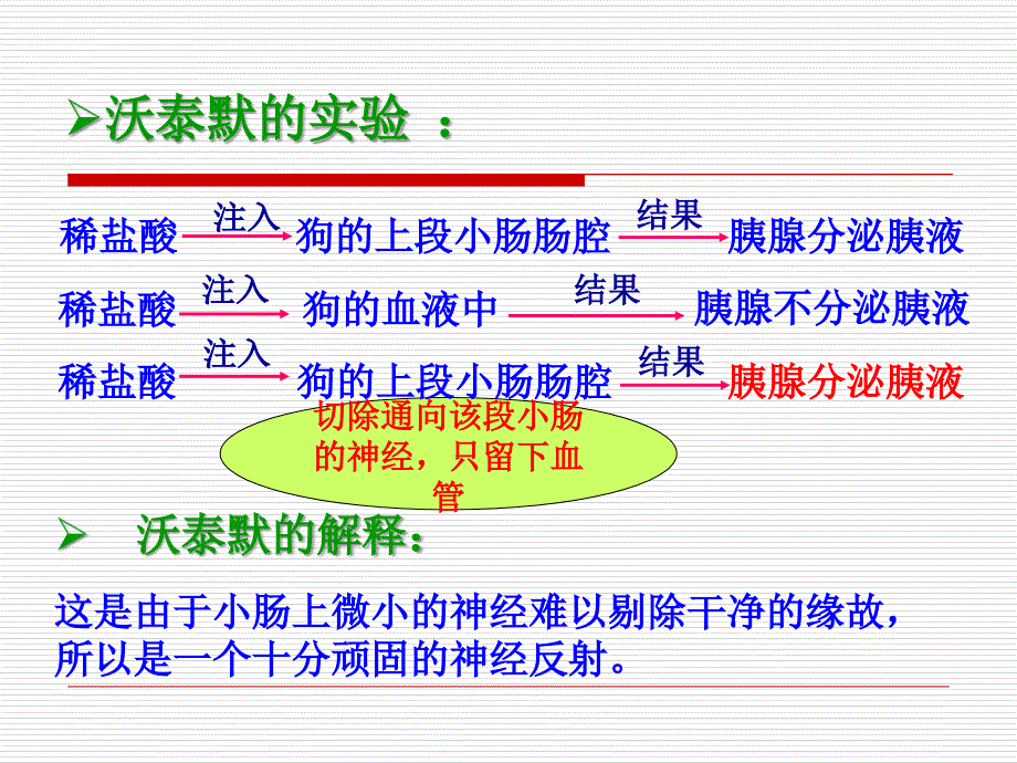 通过激素的调节666ppt课件_第4页