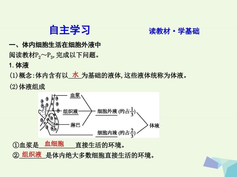 高中生物 第1章 第1节 细胞生活的环境课件 新人教版必修3_第5页