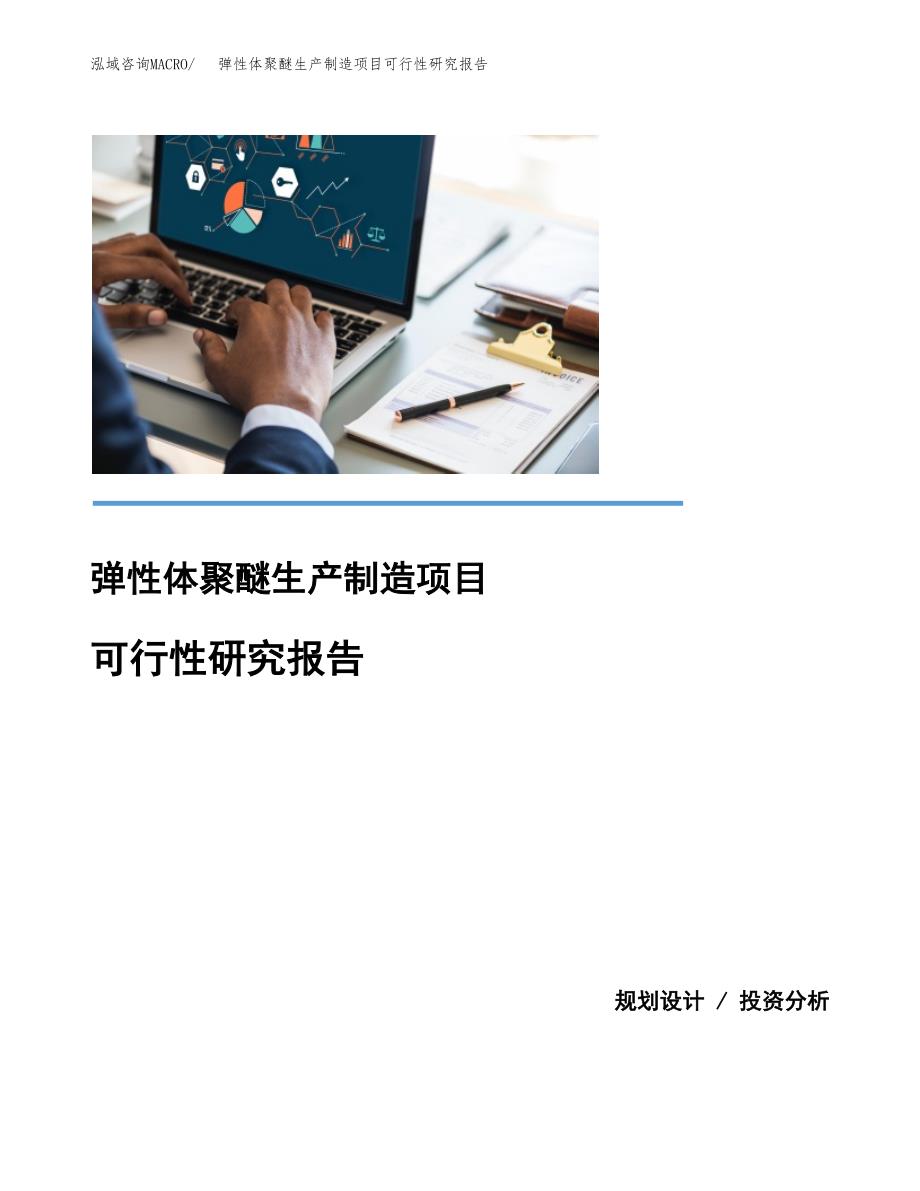 弹性体聚醚生产制造项目可行性研究报告_第1页