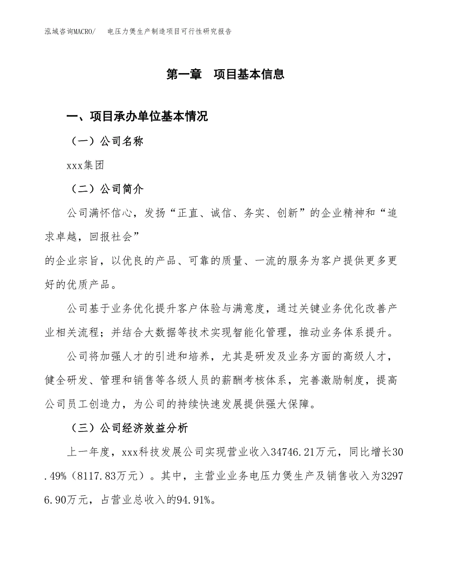 电压力煲生产制造项目可行性研究报告_第4页