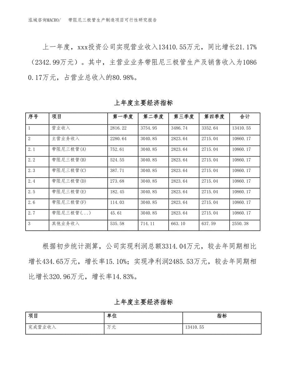 带阻尼三极管生产制造项目可行性研究报告_第5页