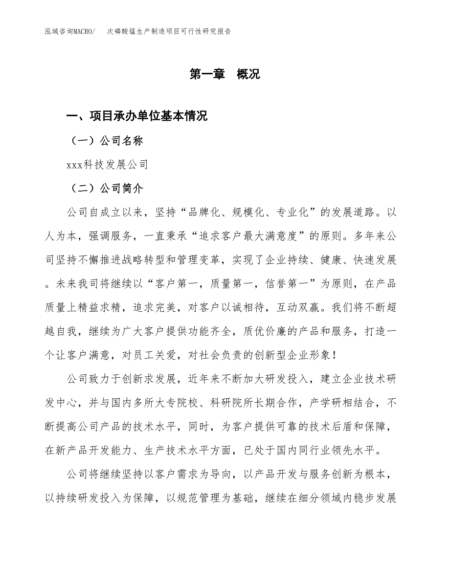 次磷酸锰生产制造项目可行性研究报告_第4页