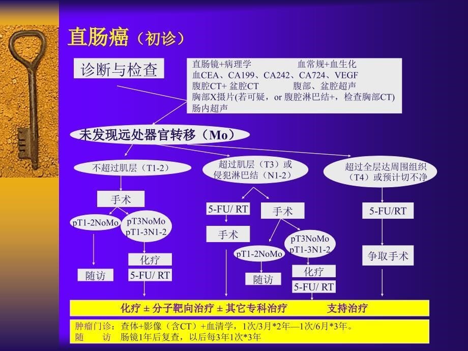 nccn2005临床路径治疗指南-已翻译成中文-精选文档_第5页