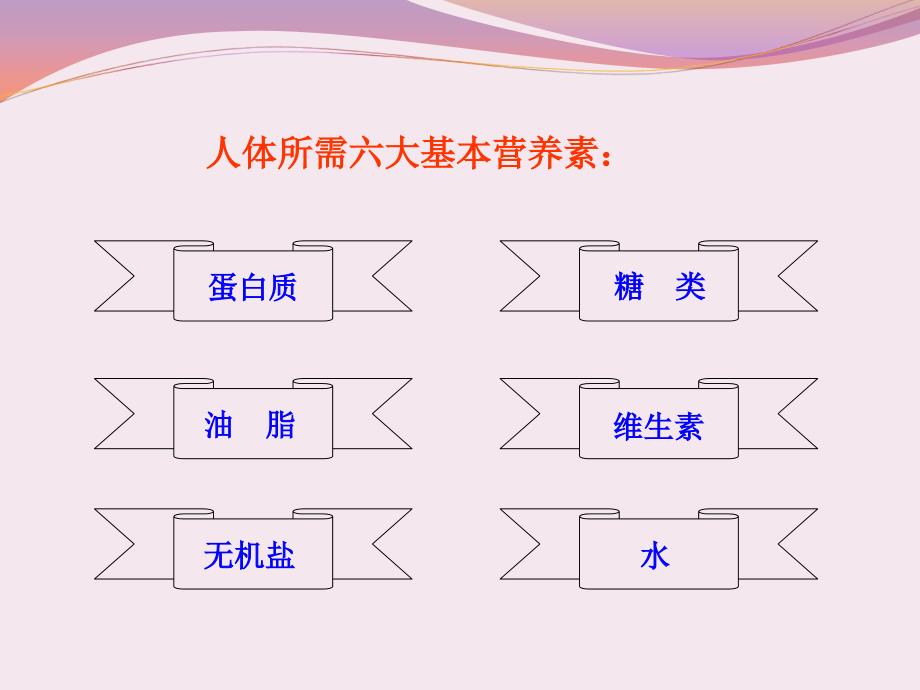 人类重要的营养物质（共41张ppt）_第3页