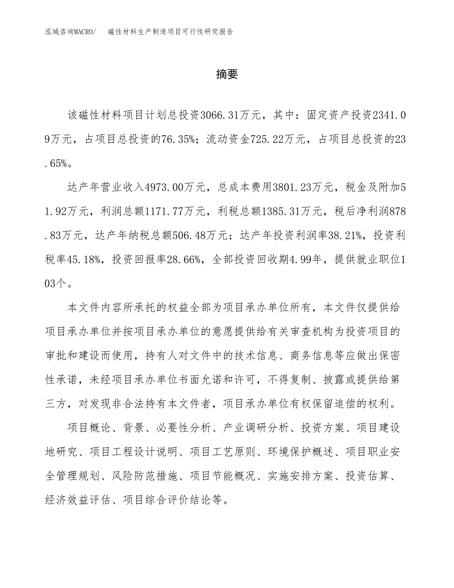 磁性材料生产制造项目可行性研究报告_第2页