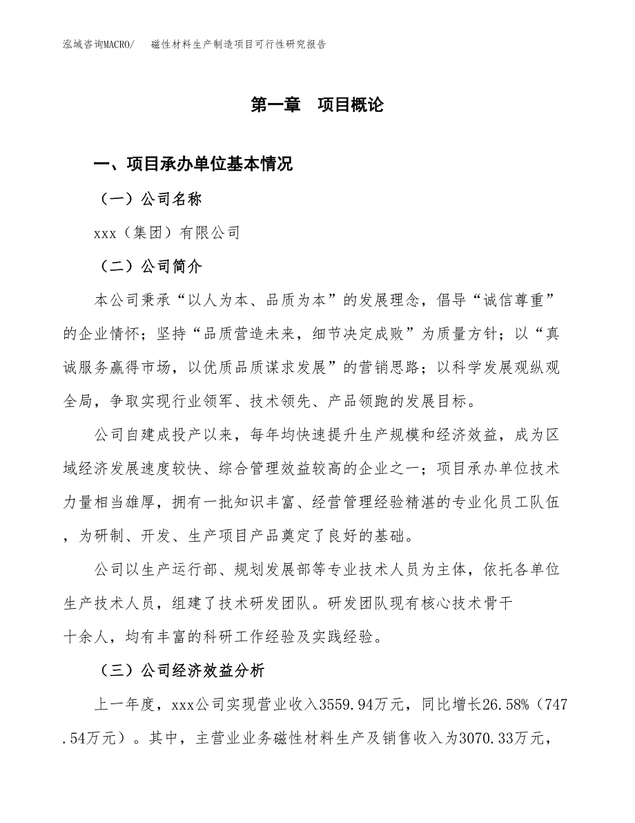 磁性材料生产制造项目可行性研究报告_第4页