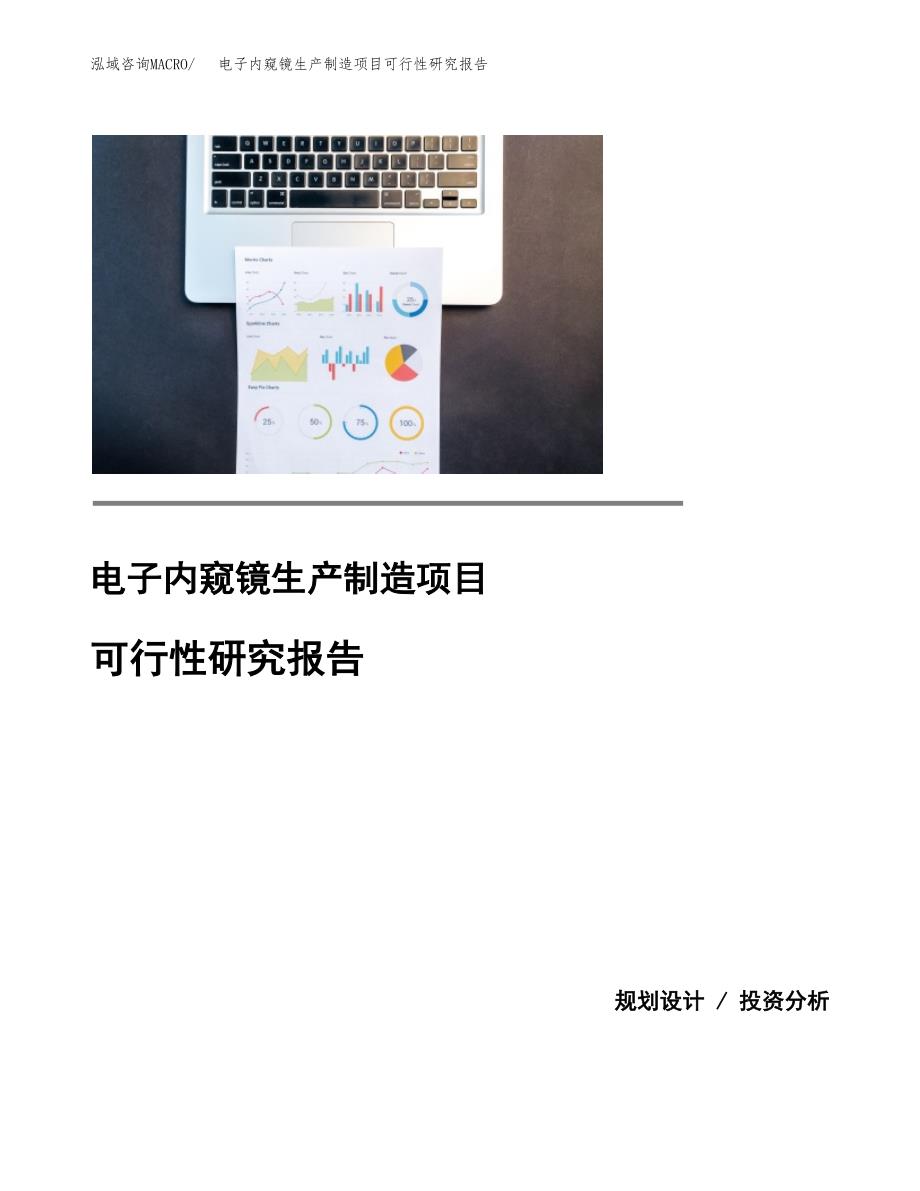 电子内窥镜生产制造项目可行性研究报告 (1)_第1页