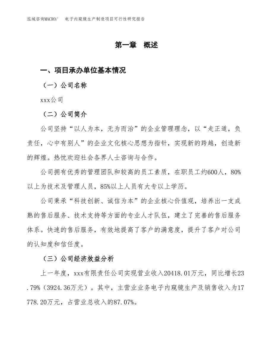 电子内窥镜生产制造项目可行性研究报告 (1)_第5页