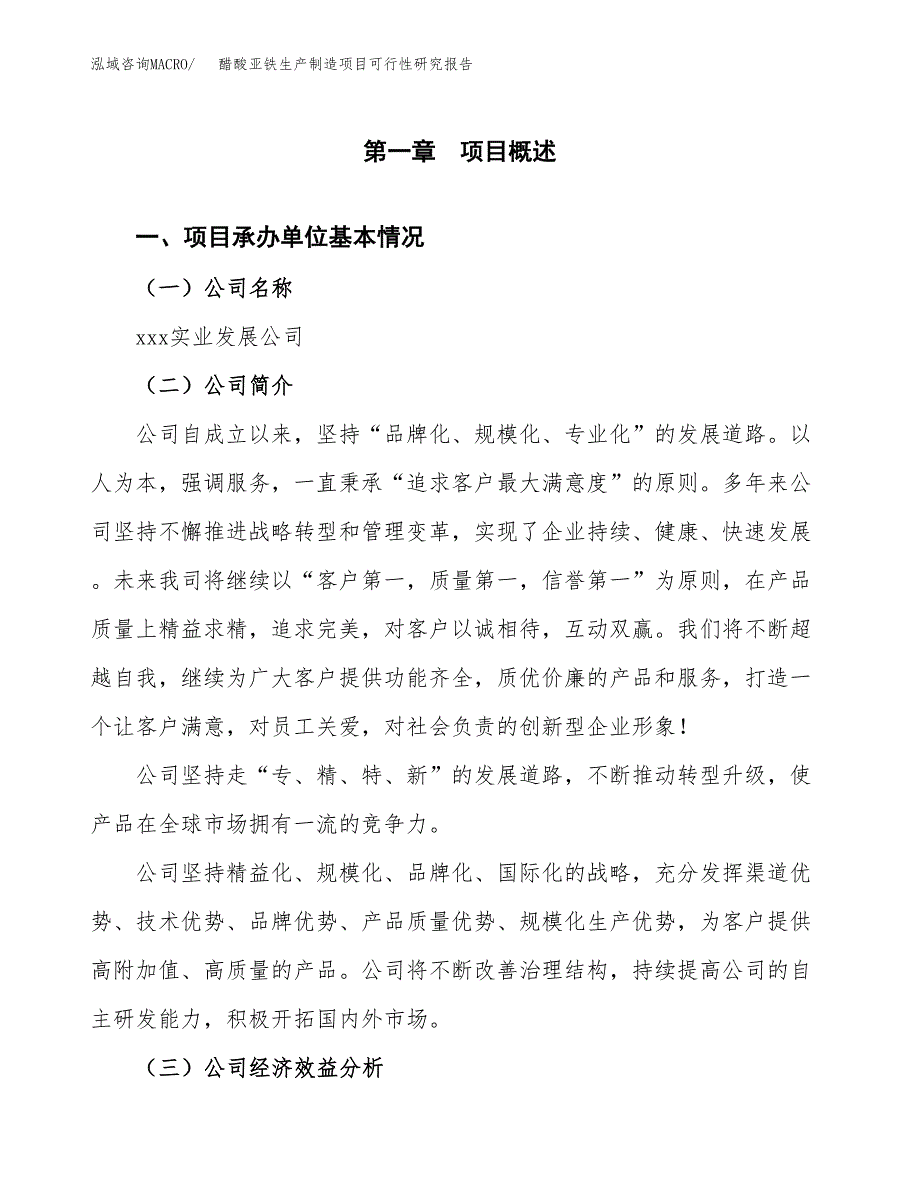 醋酸亚铁生产制造项目可行性研究报告_第4页