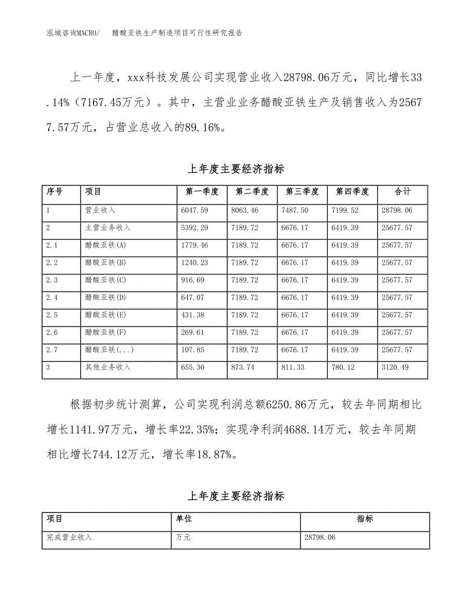 醋酸亚铁生产制造项目可行性研究报告_第5页