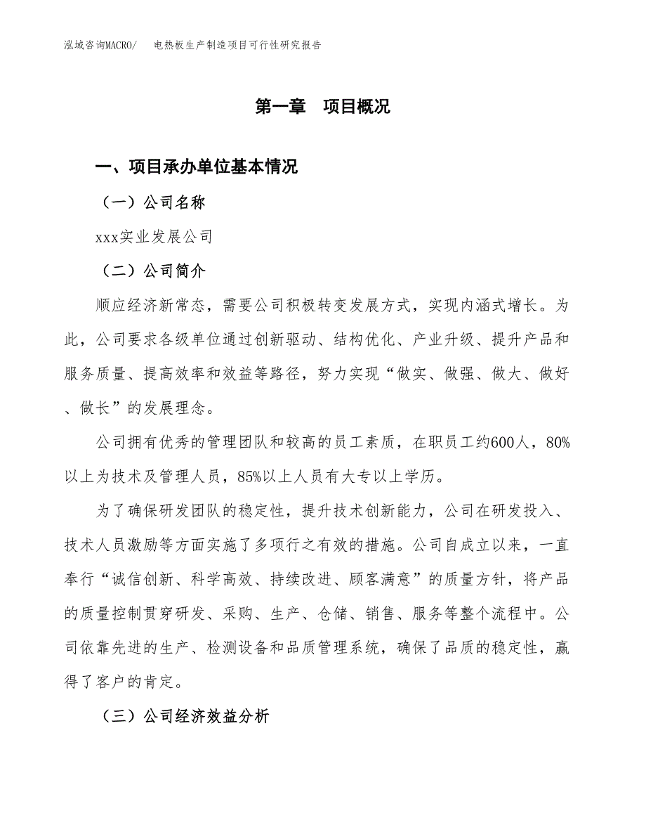 电热板生产制造项目可行性研究报告_第4页