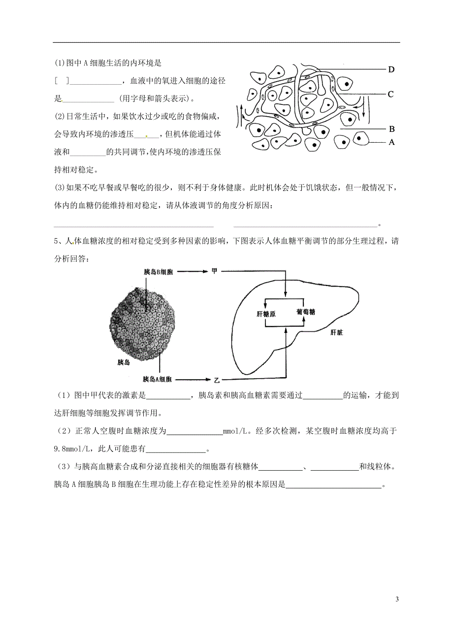 高中生物 2_1 人体的稳态导学案3（无答案）苏教版必修3_第3页