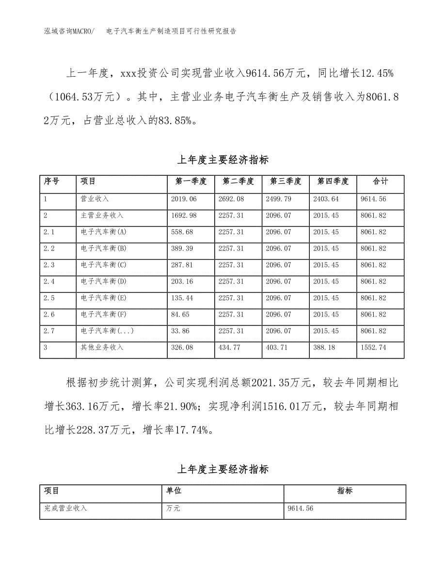 电子汽车衡生产制造项目可行性研究报告 (1)_第5页