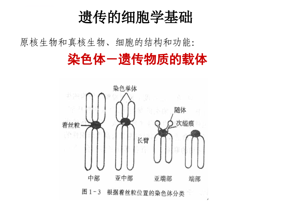 现代分子生物学-幻灯片(1)遗传物质的性质、结构与功能_第3页