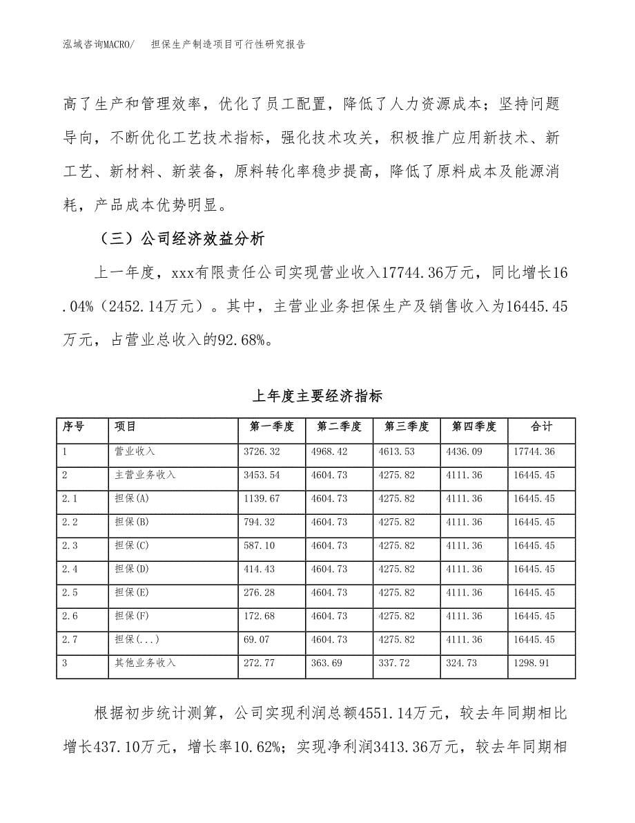 担保生产制造项目可行性研究报告_第5页