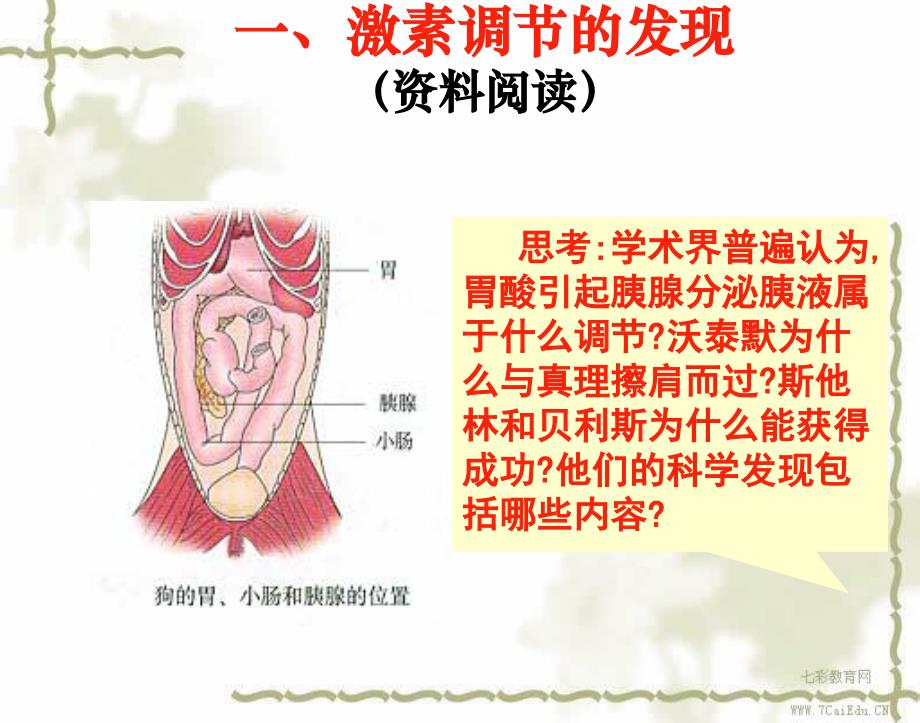 生物必修ⅲ人教新课标2.2通过激素的调节幻灯片概要_第3页