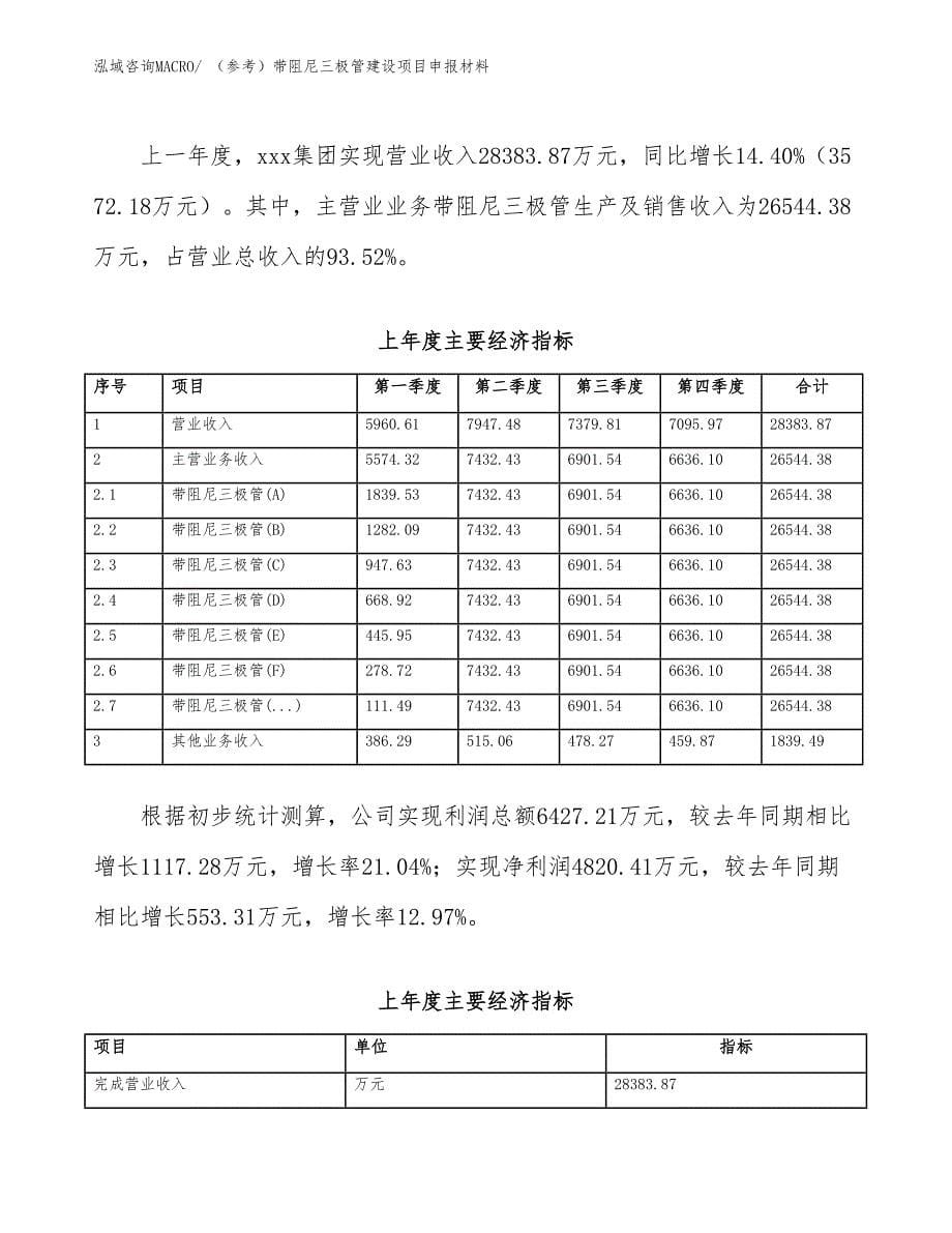 （参考）带阻尼三极管建设项目申报材料_第5页