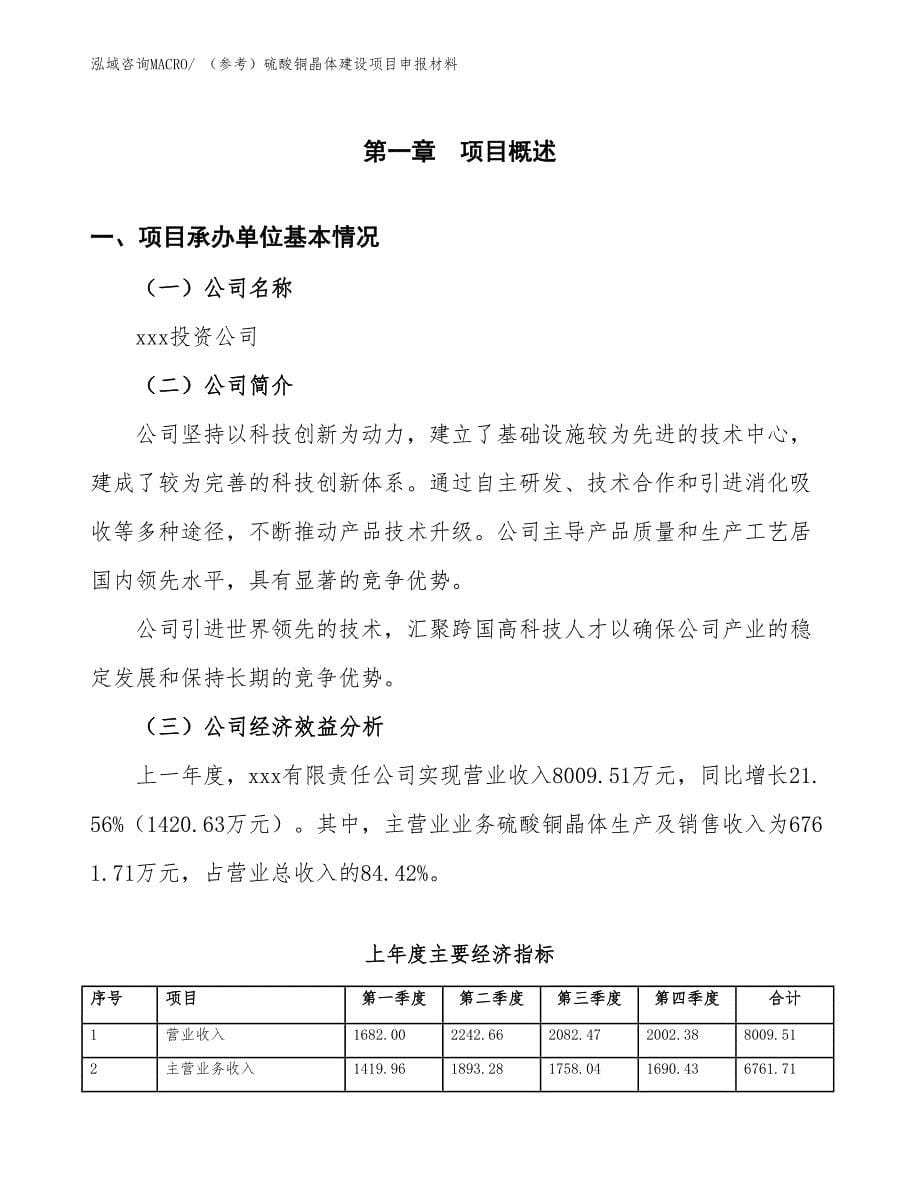 （参考）硫酸铜晶体建设项目申报材料_第5页