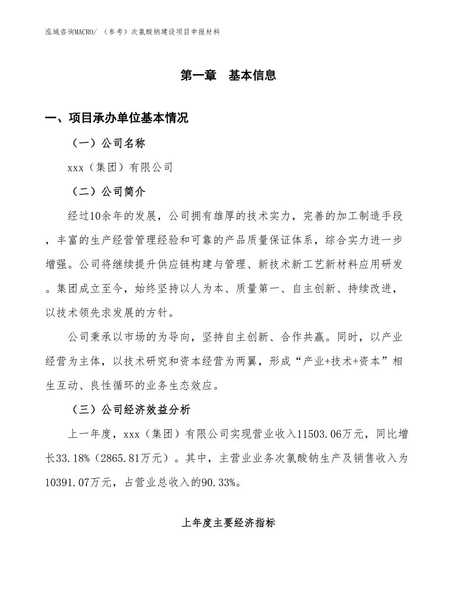 （参考）次氯酸钠建设项目申报材料_第4页