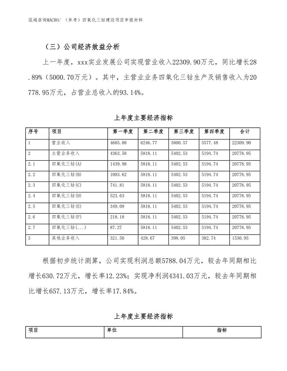 （参考）四氧化三钴建设项目申报材料_第5页