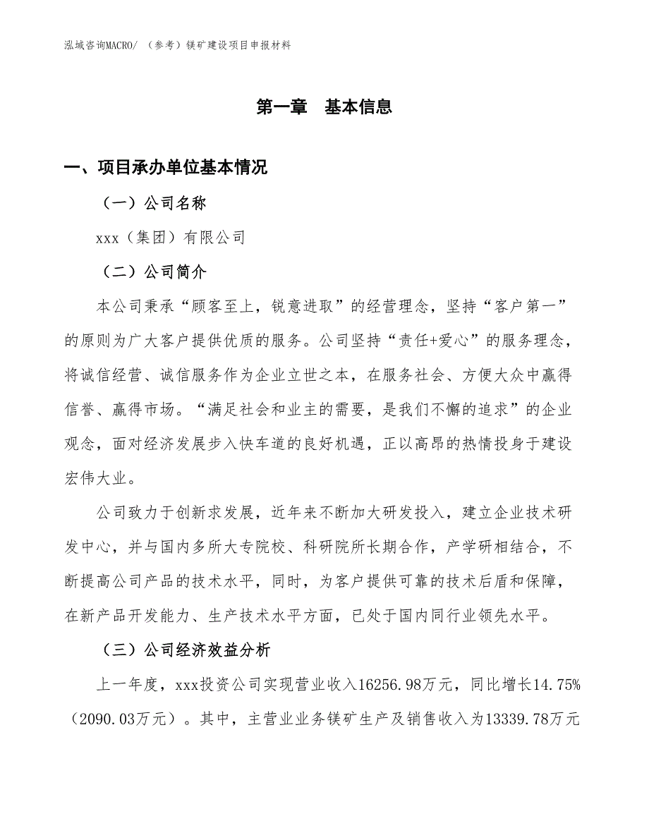 （参考）镁矿建设项目申报材料_第4页