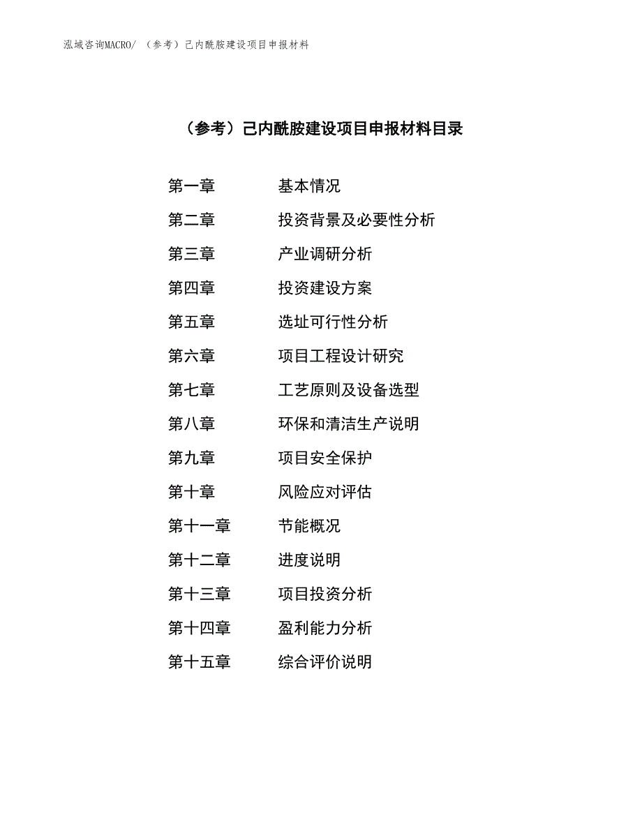 （参考）己内酰胺建设项目申报材料_第3页