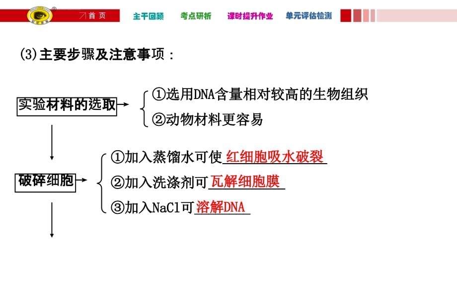 2016届高中生物第一轮复习课件-选1.4酶的研究与应用.ppt(1)_第5页