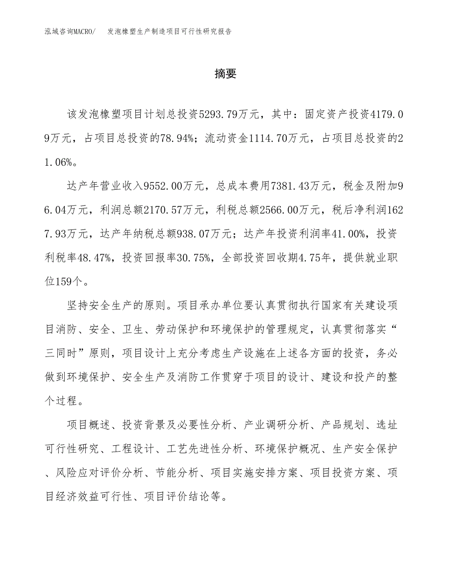 发泡橡塑生产制造项目可行性研究报告_第2页