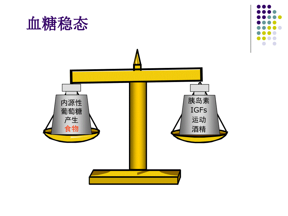 特发性餐后低血糖症滋养性低血糖-浙江大学_第3页