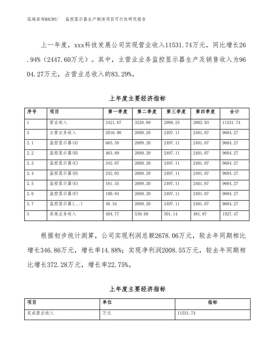 监控显示器生产制造项目可行性研究报告_第5页