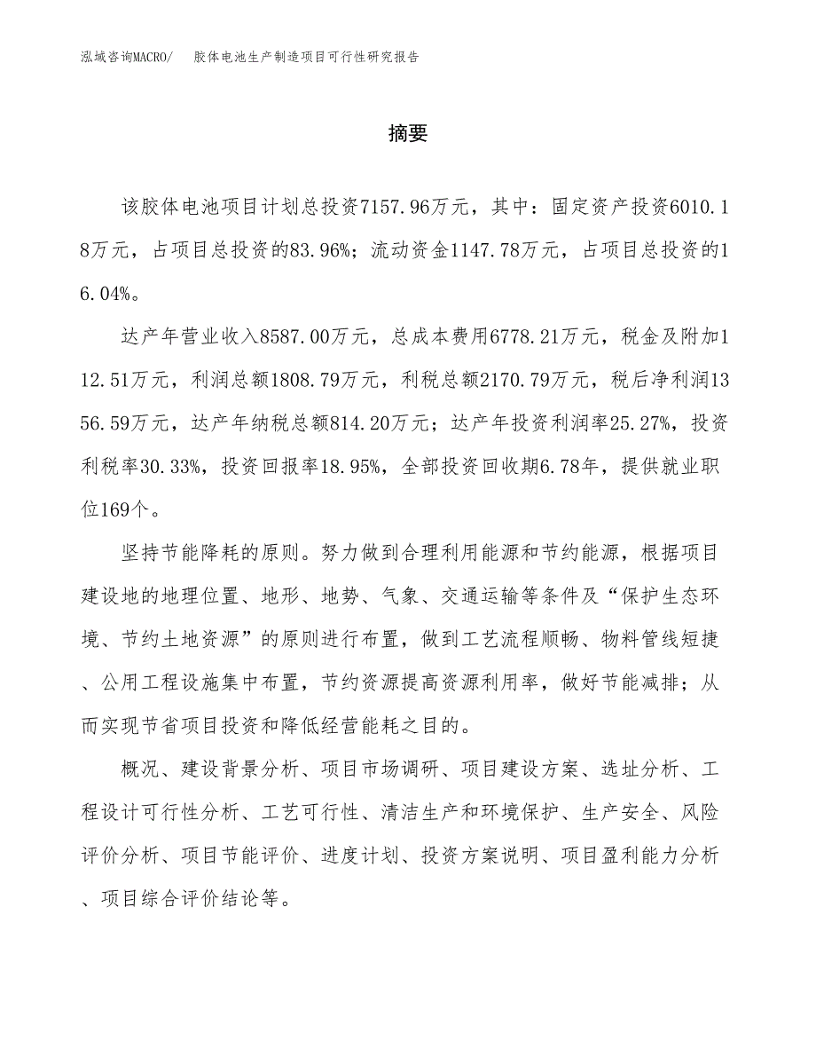 胶体电池生产制造项目可行性研究报告 (1)_第2页