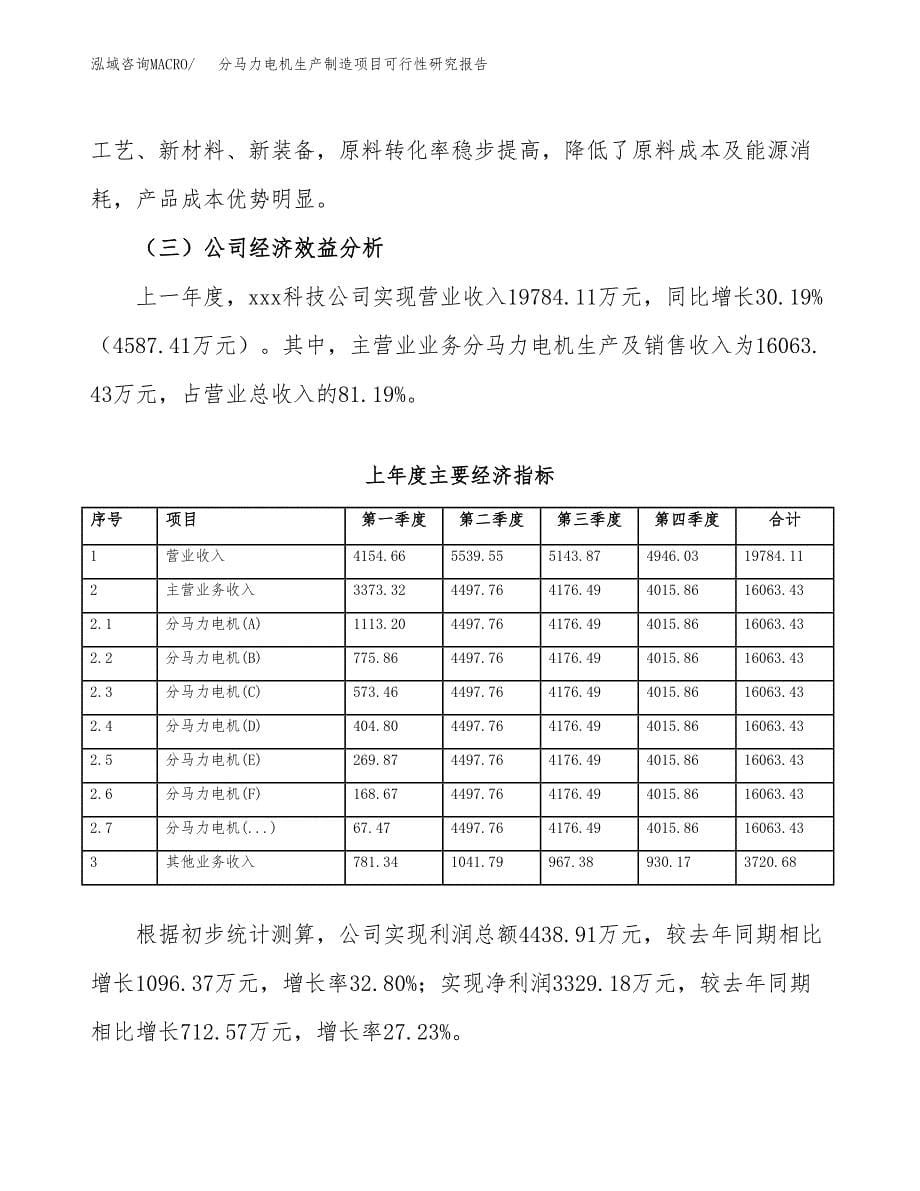 分马力电机生产制造项目可行性研究报告_第5页