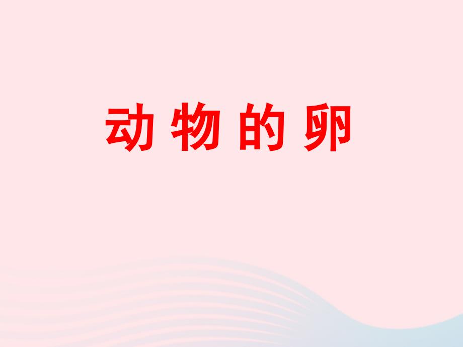 四年级科学下册 2 新的生命 6 动物的卵课件4 教科版_第1页