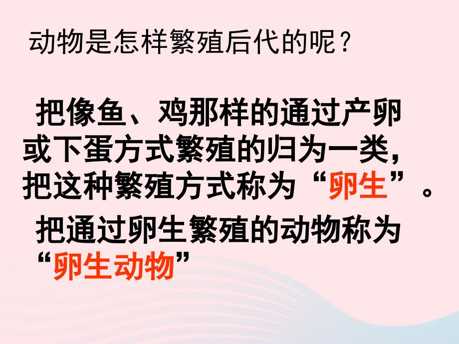 四年级科学下册 2 新的生命 6 动物的卵课件4 教科版_第2页