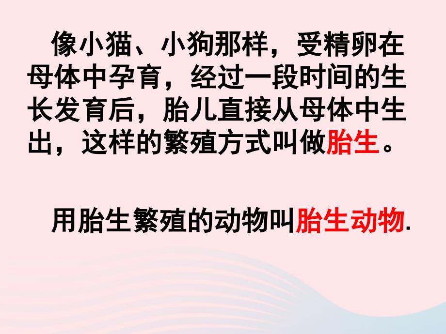 四年级科学下册 2 新的生命 6 动物的卵课件4 教科版_第3页