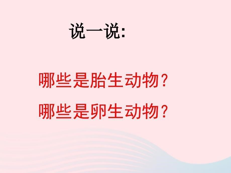 四年级科学下册 2 新的生命 6 动物的卵课件4 教科版_第5页