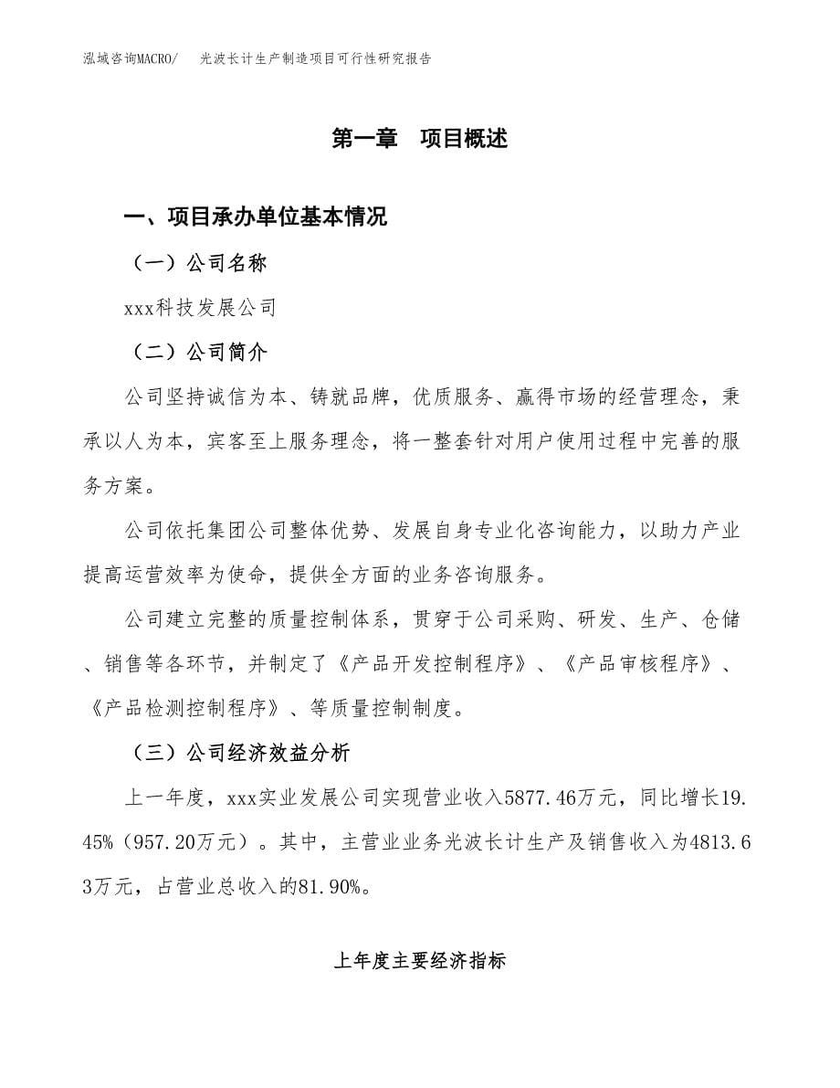 光波长计生产制造项目可行性研究报告_第5页