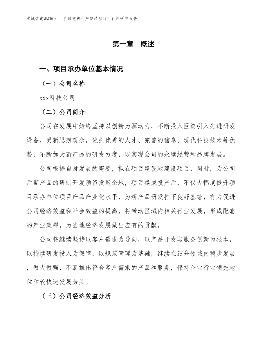 乳酸电极生产制造项目可行性研究报告_第4页