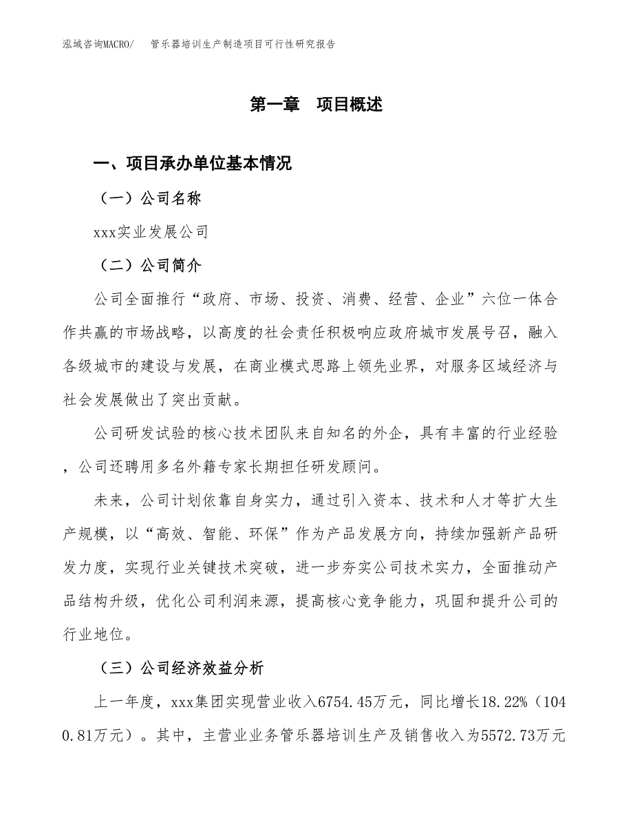 管乐器培训生产制造项目可行性研究报告_第4页