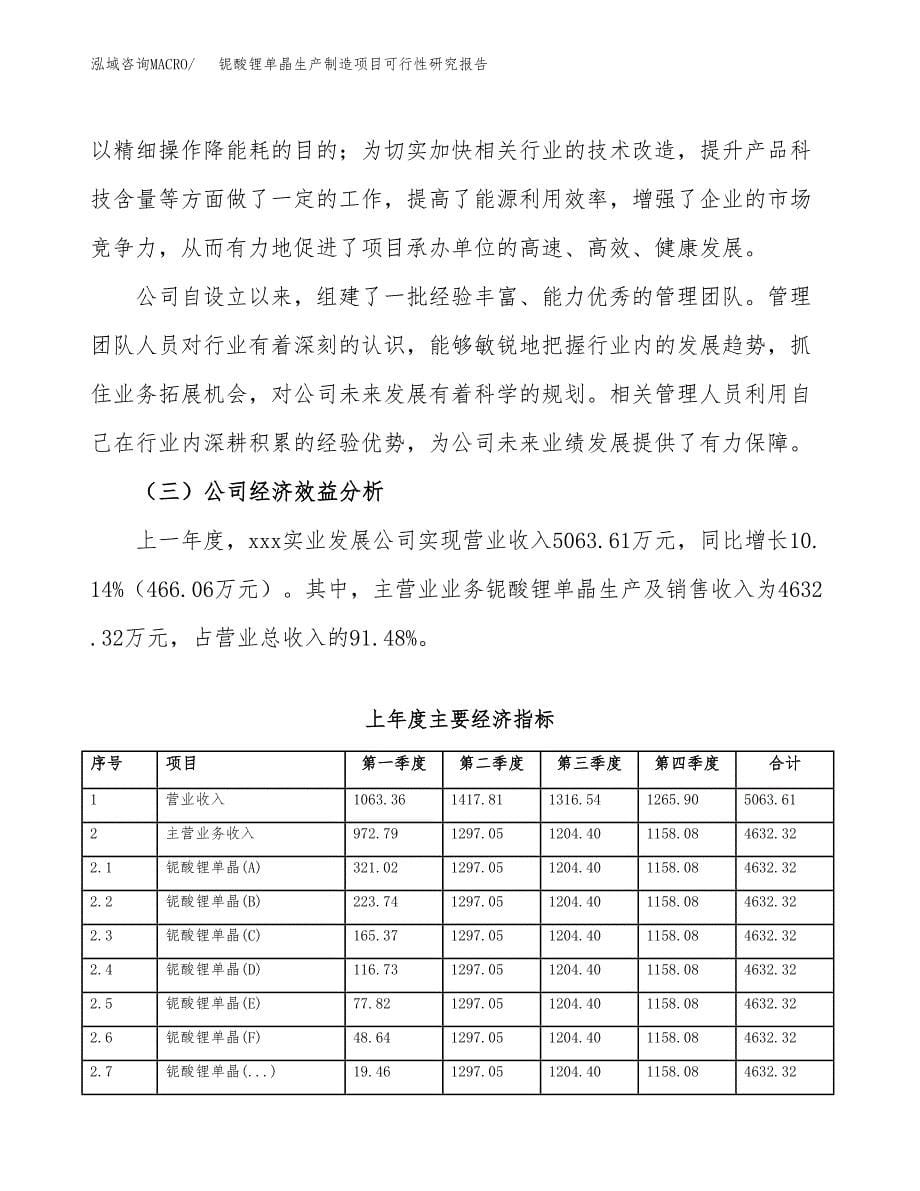 铌酸锂单晶生产制造项目可行性研究报告 (1)_第5页