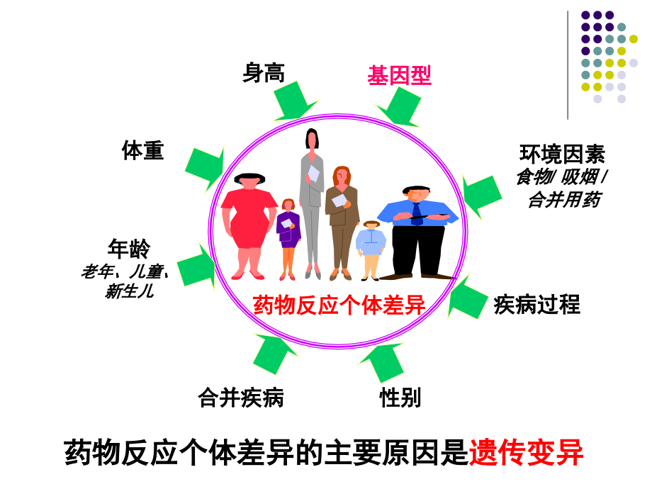 遗传因素及其药物作用_第3页