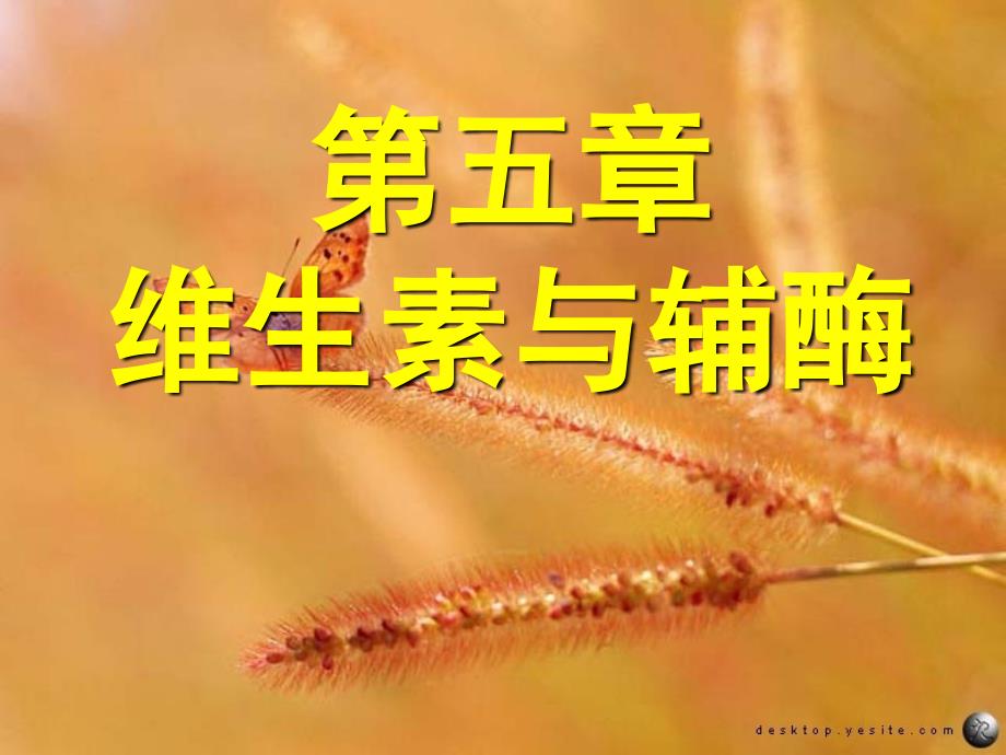 王镜岩生物化学课件008维生素与辅酶_第1页