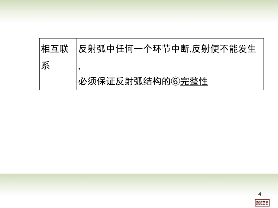 高考生物一轮用书(-课时训练)第八单元-第二课时-动物生命活动的调节一课件_第4页