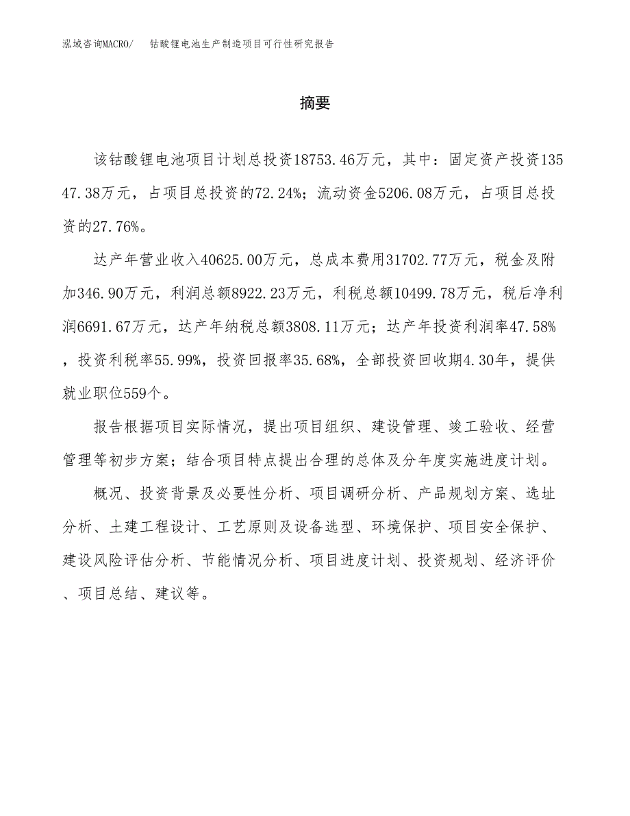 钴酸锂电池生产制造项目可行性研究报告_第2页