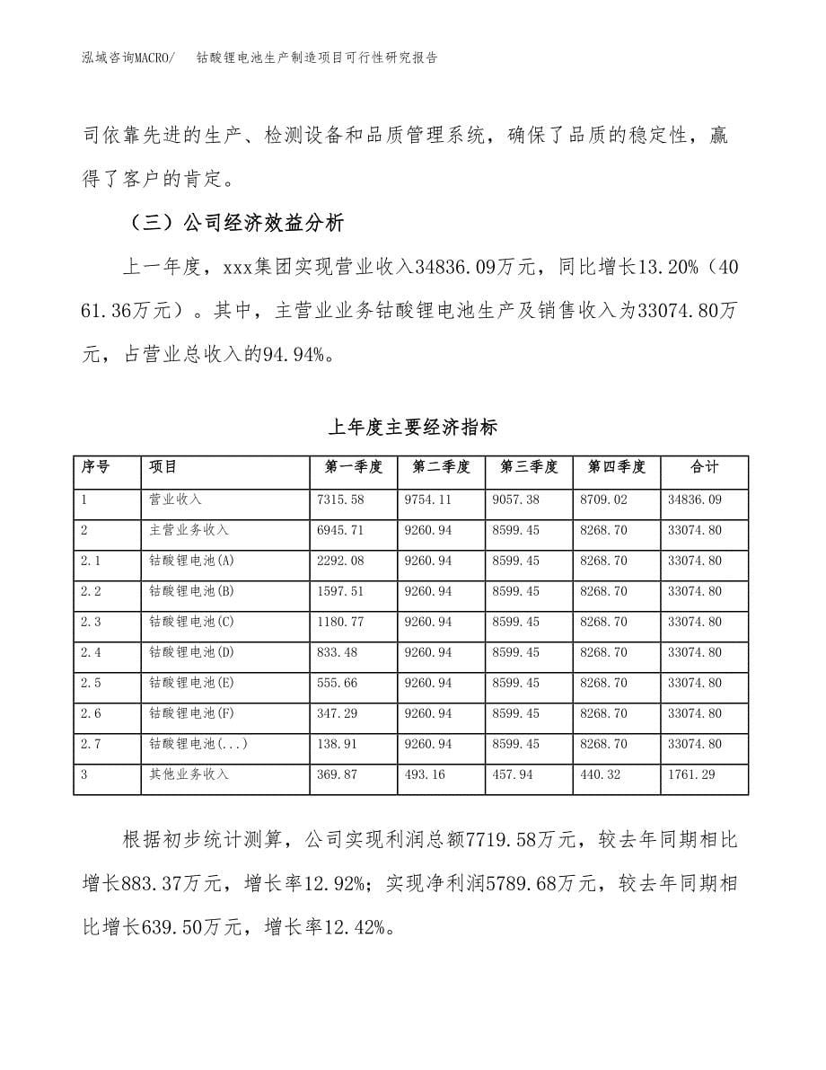 钴酸锂电池生产制造项目可行性研究报告_第5页