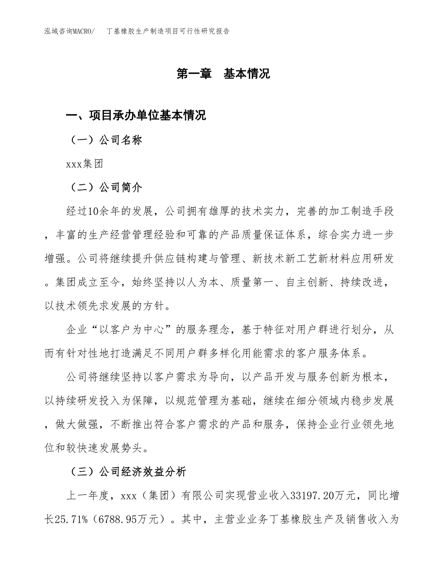 丁基橡胶生产制造项目可行性研究报告 (1)_第4页