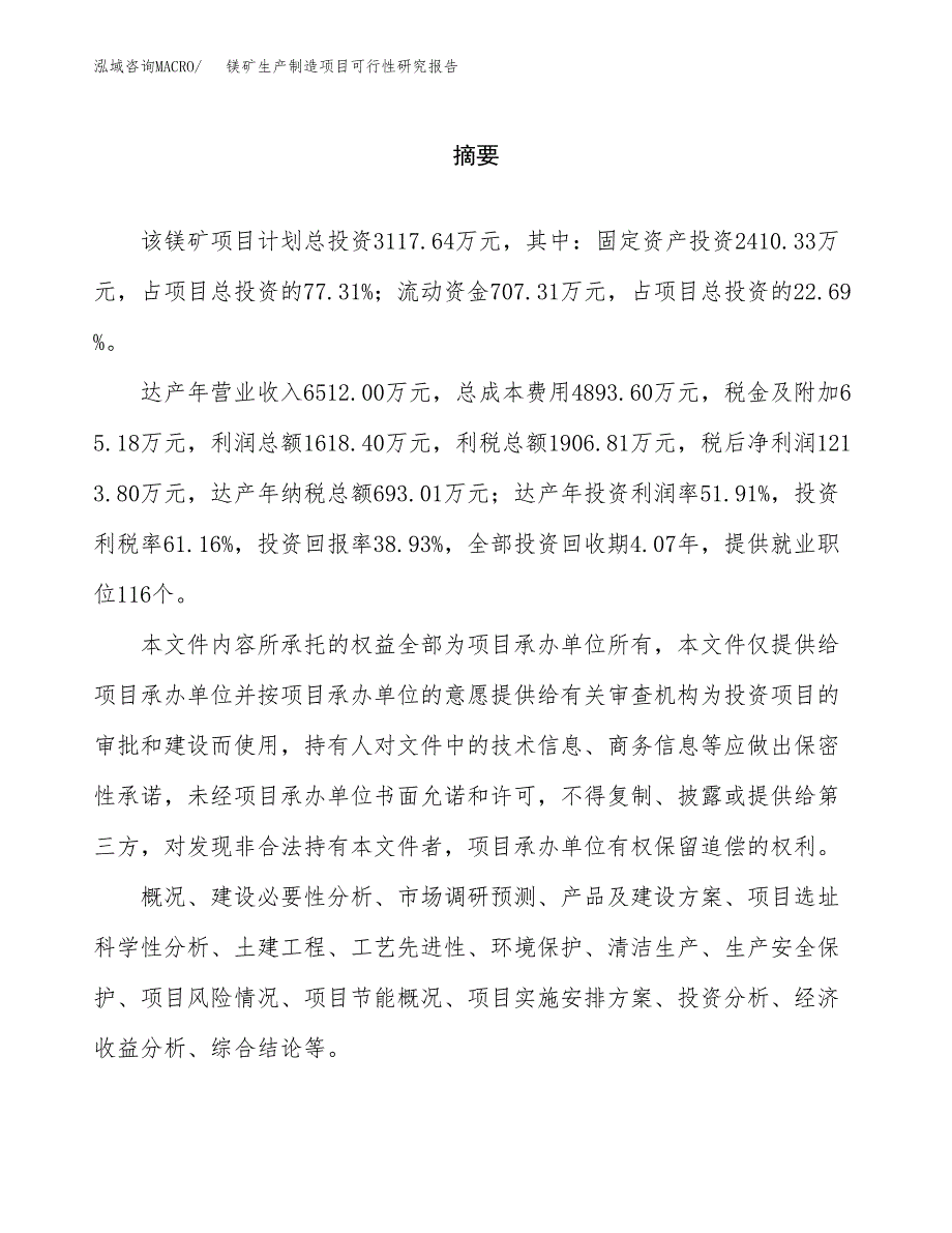 镁矿生产制造项目可行性研究报告_第2页